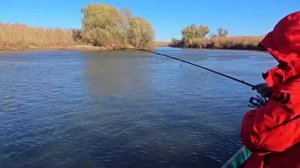 Ловля на отводной поводок с воблером HMKL K-1 65 SP