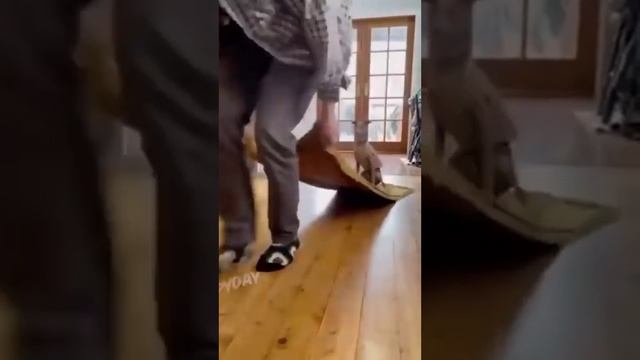 Приколы смотреть онлайн