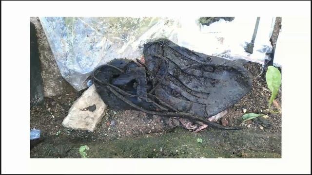 Археологические работы в квартале 38 Великого Новгорода (Иоановский раскоп) смотреть онлайн