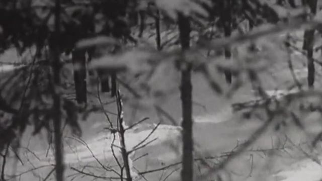 4. Вызов (Волки) смотреть онлайн