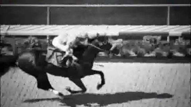 Horse Race Game - Build Races With Past & Current Champion Thoroughbreds at Any Race Course смотреть онлайн