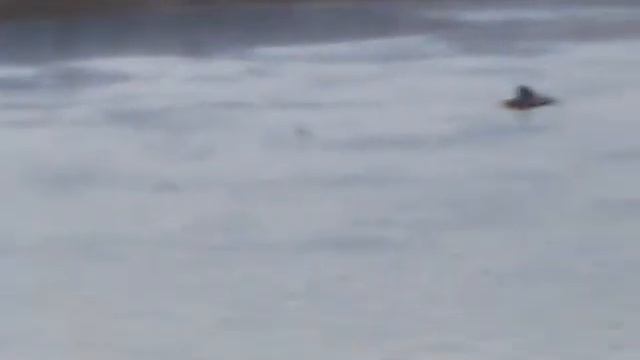 Спас.утопающих.3gp