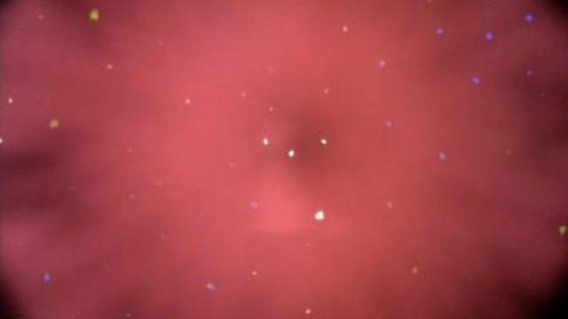 PinkPanther - PinkStamps