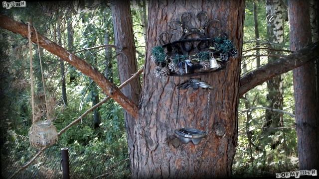 Будни кормушки. Белка таскает желуди