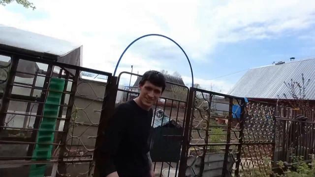 КАК ПРОХОДЯТ ДНИ БЕЗДОМНОГО БАЯНИСТА В ЗАГОРОДНОМ ДОМЕ? смотреть онлайн