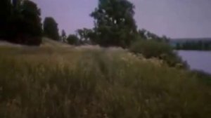 Владимир Нечаев Лучше нету того цвету