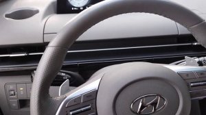 хендай Стария, отзыв водителя))