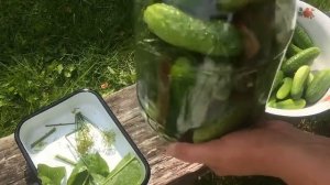 Солёные огурцы в 3 литровой банке. Холодный способ.