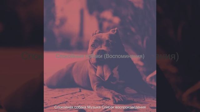 Видения (Щенки) смотреть онлайн