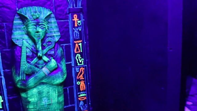 Creatures Of The Night ZooTampa | Lowry Park 2018 смотреть онлайн