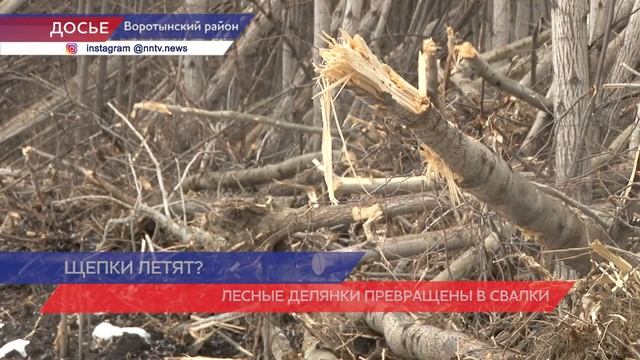 Расследование из Воротынского района смотреть онлайн