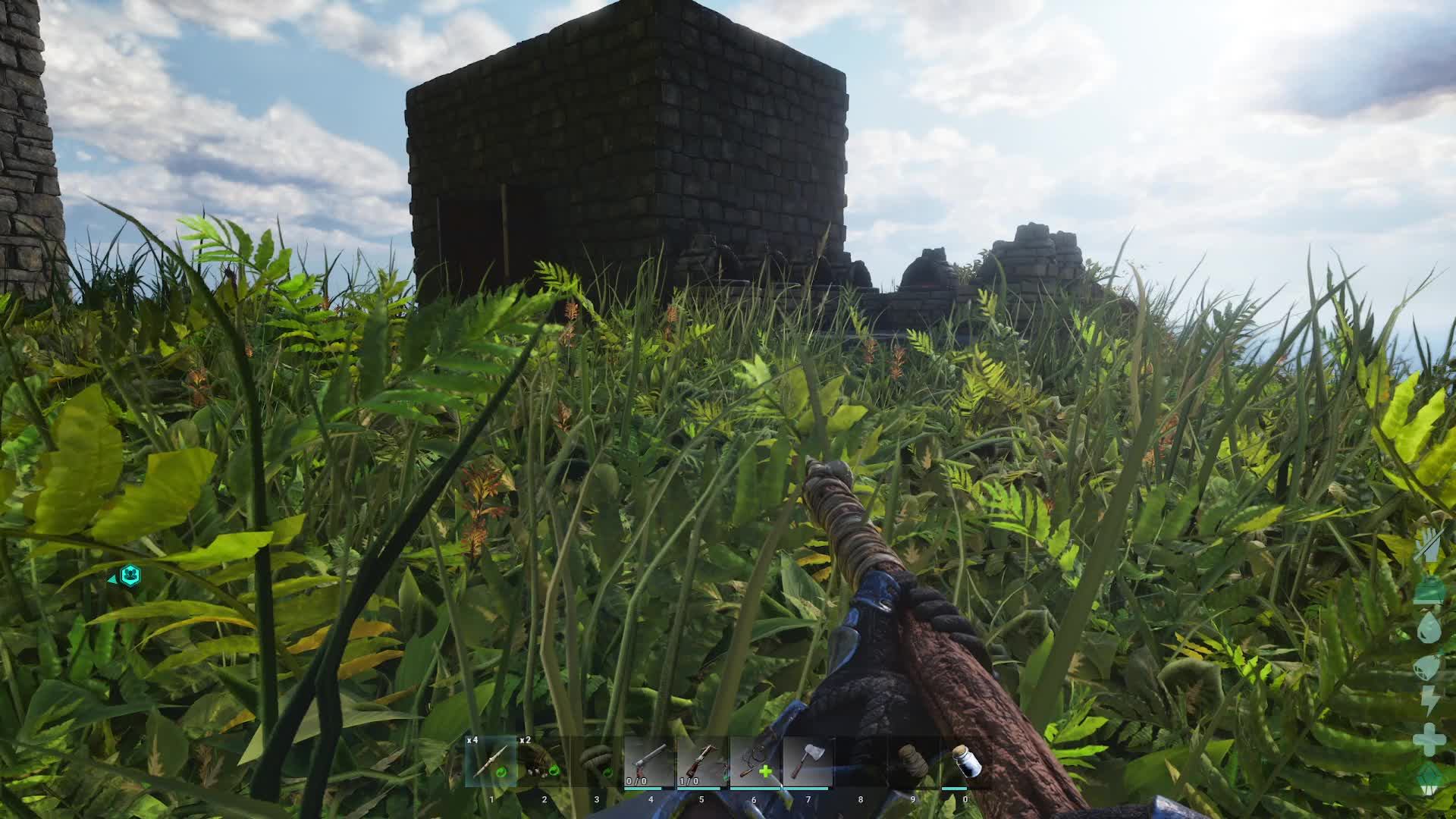 ARK