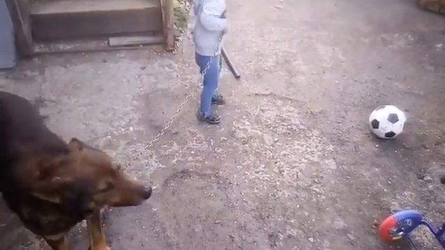 Тюльпан смотреть онлайн