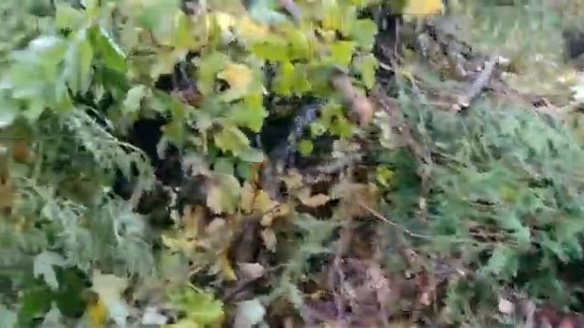 Садовый измельчитель веток смотреть онлайн