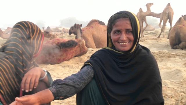 Morning Routine of Desert Camle People | Village Life | Camle Milking смотреть онлайн