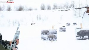 Картечь против кабана. Тест на разных дистанциях: осыпь и пробитие.