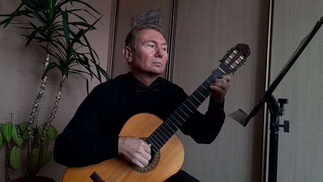Голуби летят над нашей зоной (Неизвестный автор) на гитаре. Обработка Олега Копенкова смотреть онлайн
