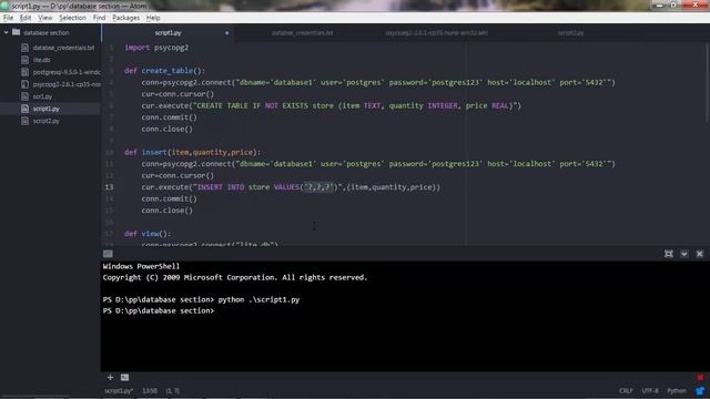 Python 21.5 Interacting with databases - Selecting, Inserting, Deleting, Updating PostgreSQL Record смотреть онлайн