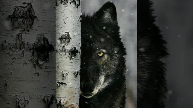 Остановка мира. Прощай цивилизация не верного выбора. смотреть онлайн