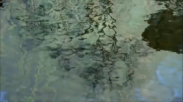 Красивая музыка и видео Редко мы слышим такую музыку 1 смотреть онлайн