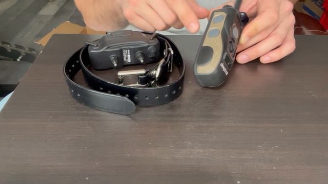 Dogtra 1900s Dog Collar Overview & Review смотреть онлайн