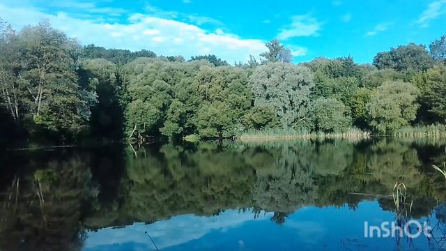 С Днём рыбака! 🌞🐟🎣 смотреть онлайн