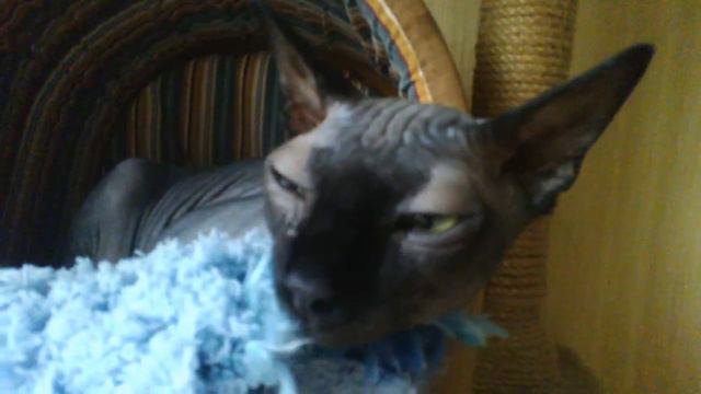 20120107 004 смотреть онлайн