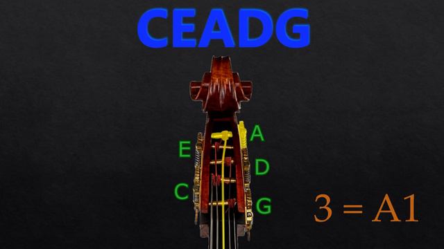 5 String Double Bass - CEADG Tuning (BOWED) (Tuner) смотреть онлайн