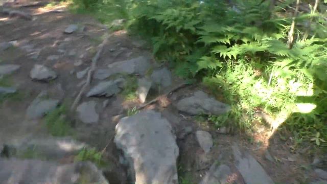 Алтай. В жаркий день идем к водопаду. смотреть онлайн