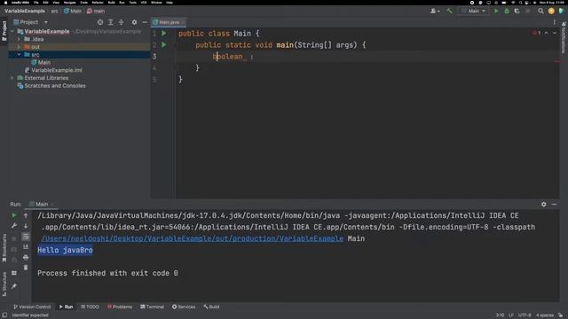 #4 | Variables Part 2, Primitive Types, Boolean, Floats and Doubles | Java For Beginners смотреть онлайн