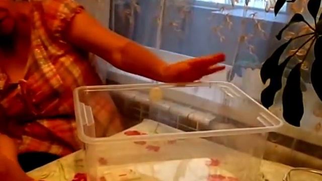 Фикс Прайс. Fix Price смотреть онлайн