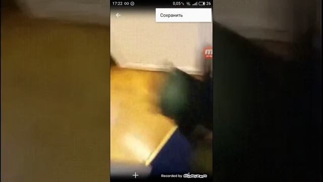 Как скачать GIF смотреть онлайн