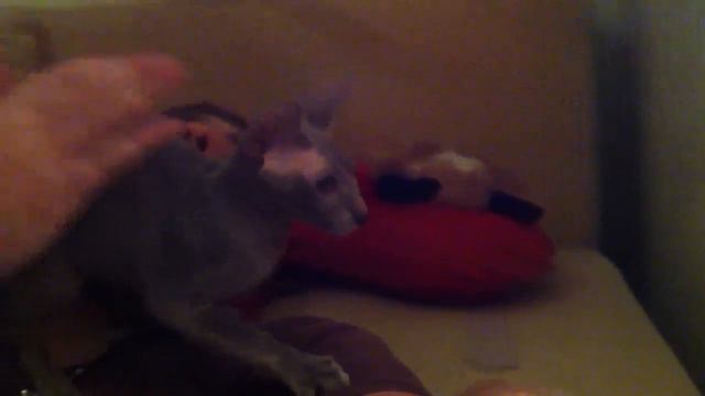 Костин сфинкс смотреть онлайн