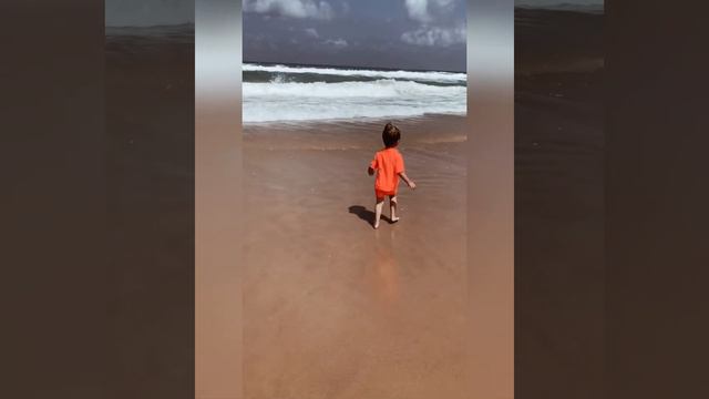 Море бывает опасным, вот почему нужен спасатель - Lifeguard смотреть онлайн