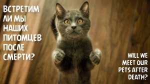 Встретим ли мы наших питомцев после смерти?
