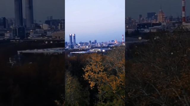 Смотровая площадка на Воробьевых горах, где увидеть Москву свысока смотреть онлайн