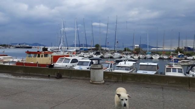 Жить в  Стамбуле, туркменский ресторан в Стамбуле ,набережная Küçükyalı Кючюкялы,Гёзтепе парк