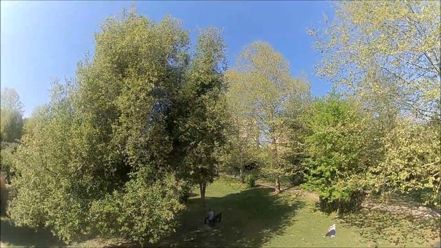 Happymodel Mobula7 HD - Maiden flight смотреть онлайн