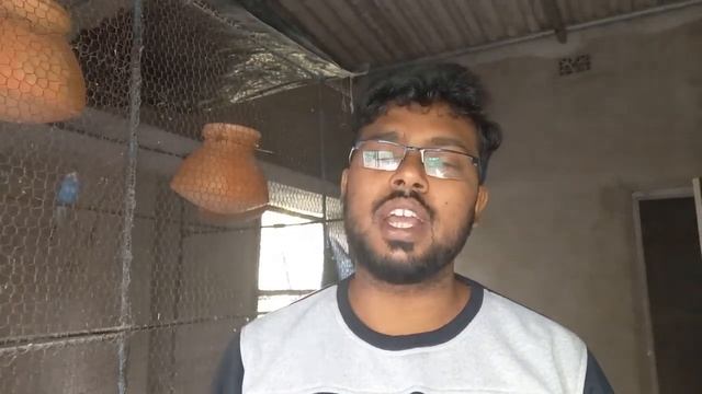 first Java breeding result in my colony|| এই টিপস গুলো জানলে আপনিও হয়ে উঠবেন একজন সফল জাভা চাষি смотреть онлайн