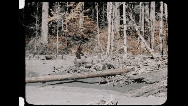 Снежный человек. Все точки над йе... смотреть онлайн