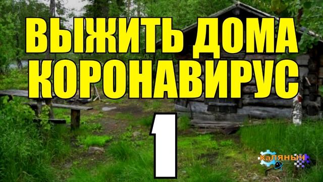 0780 - КОРОНАВИРУС _ КАРАНТИН _ СИДИ ДОМА _ ЗОМБИ АПОКАЛИПСИС В РЕАЛЬНОЙ ЖИЗНИ ПРИШЕЛ 1.mp4 смотреть онлайн