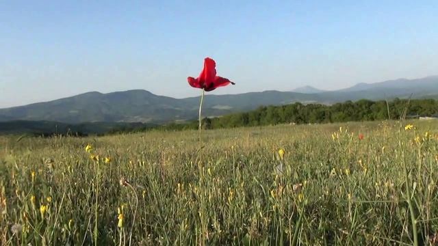 Май 2015 Греческий мужской монастырь у селения Лаки смотреть онлайн