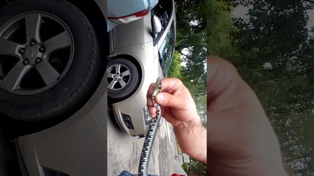 И вторая часть ужонок смотреть онлайн