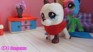 LPS сериал / Следствие зашло в тупик 18 серия/ LPS в тюрьме  /ЛПС сериал / лпс фильм
