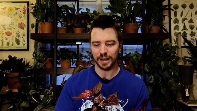 Let's Talk about Plant Maintenance смотреть онлайн
