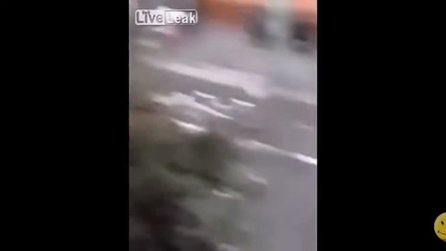 Умные звери - ПРИКОЛЫ , 6 МИНУТ смеха ! смотреть онлайн
