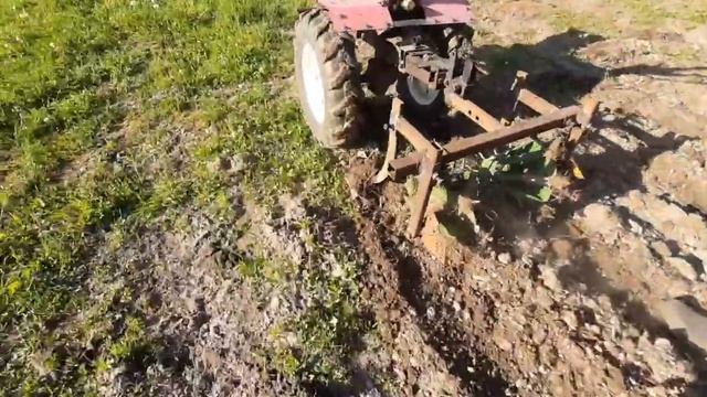 работа ежей с лапами смотреть онлайн