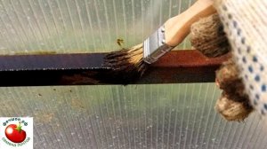 Как обработать теплицу осень