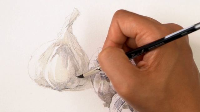 Watercolor Painting | Garlic смотреть онлайн