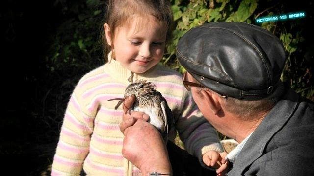 На первый взгляд, в кафе сидели дедушка с внучкой, но, услышав их разговор, она помчалась в полицию смотреть онлайн